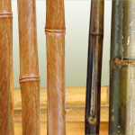 Bamboo Cane