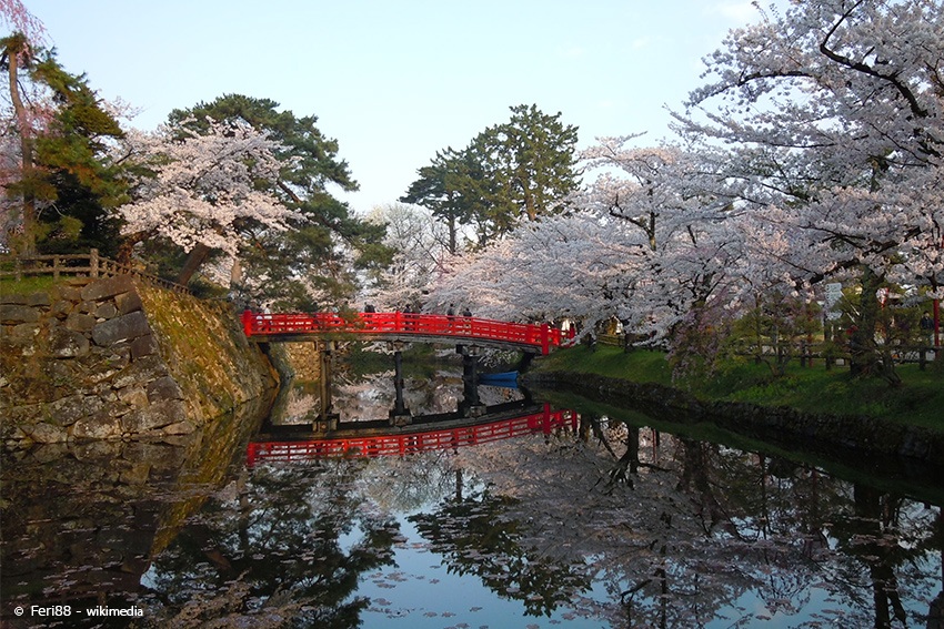 Der Hirosaki Park während der Kirschblüte