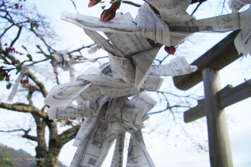  Omikuji Kiefer