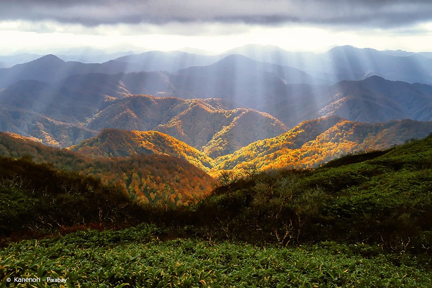 Nationalpark Shirakami-Sanchi Tipps