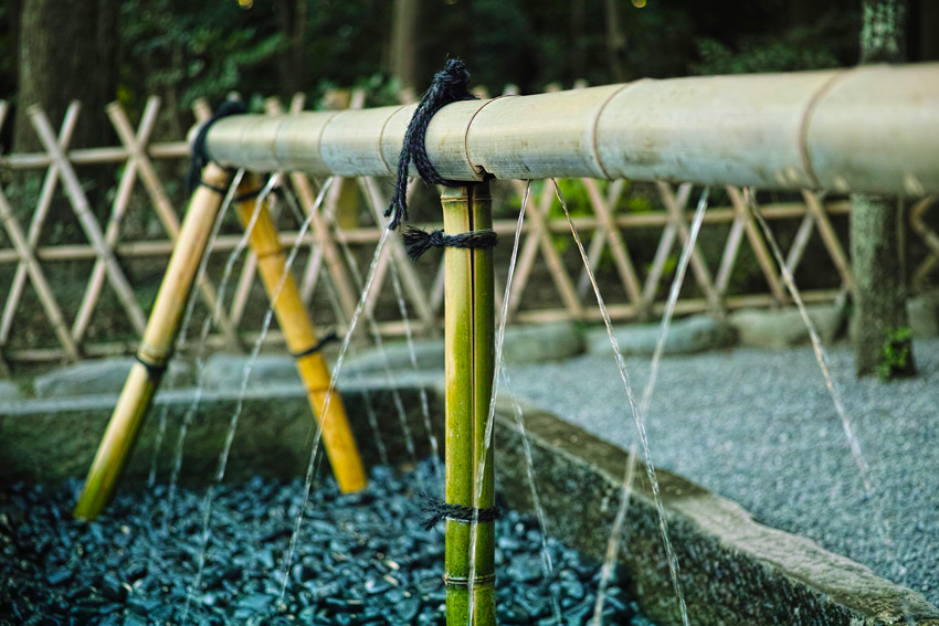 Bambusrohr mit Löchern zur Bewässerung