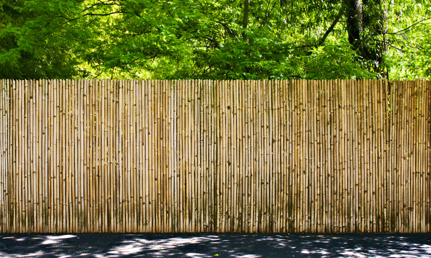 Bambus Zaun mit Bambusrohren vor Bäumen