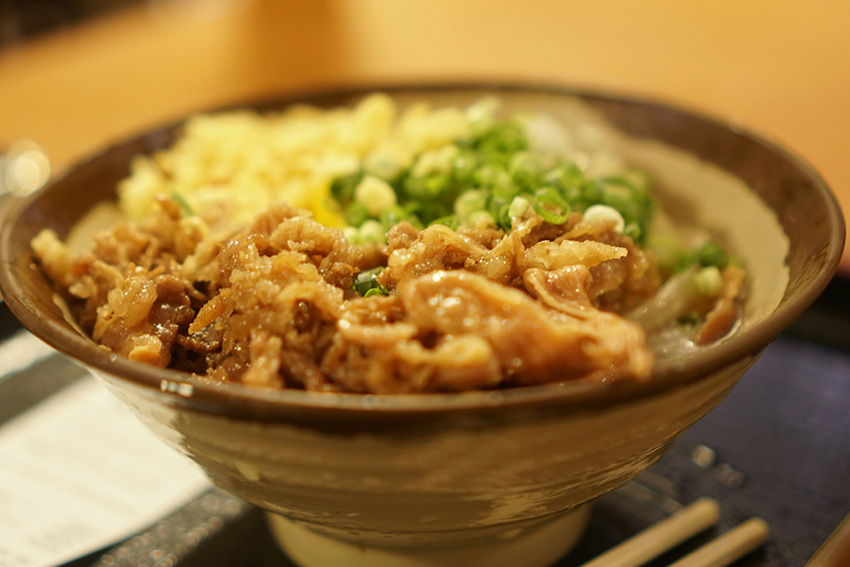 Schnelles japanisches Donburi – Reis mit Fleisch, Zwiebeln und Frühlingszwiebeln in einer Schüssel serviert