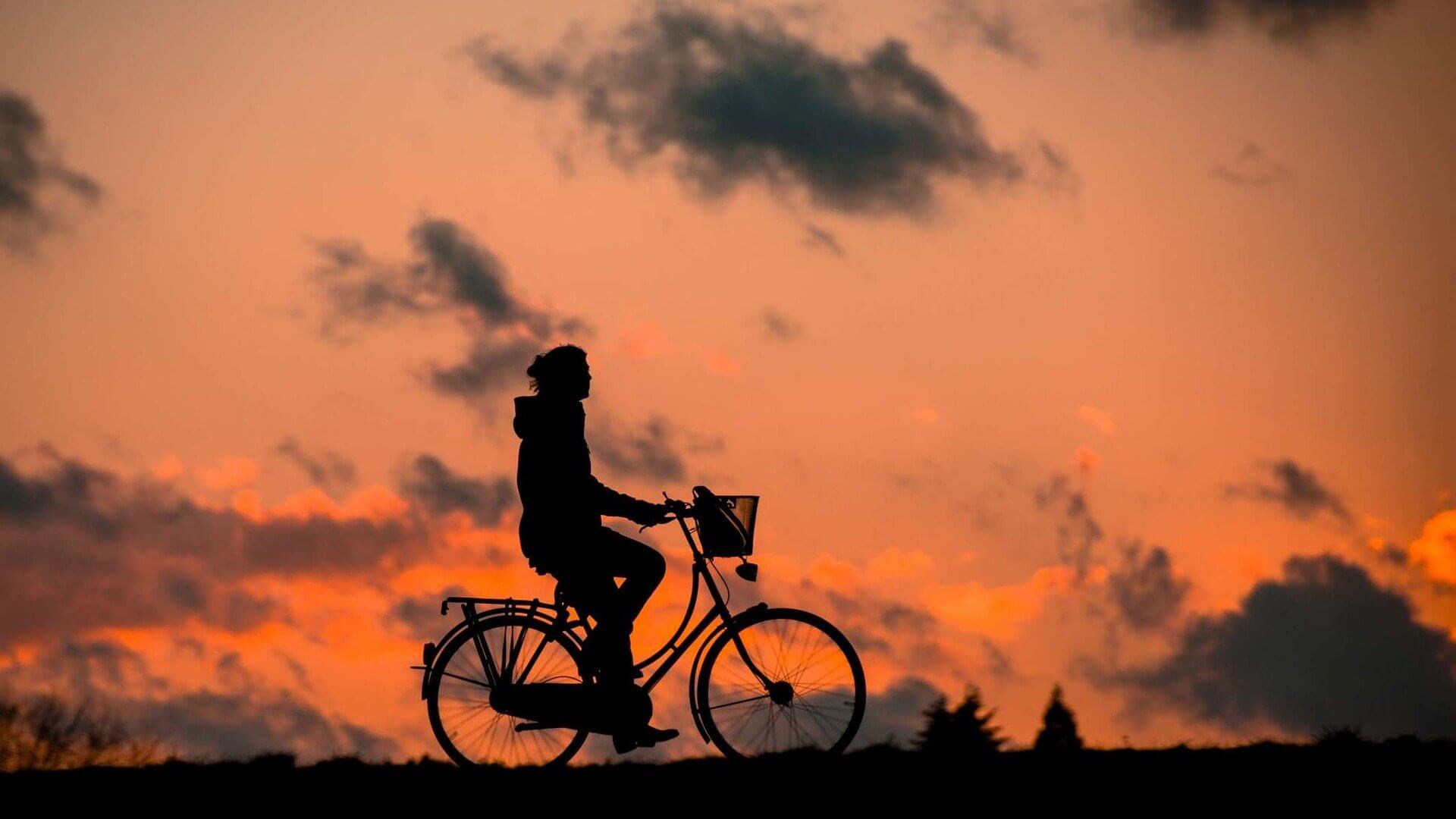 Eine schöne Fahrradtour in der Abendsonne