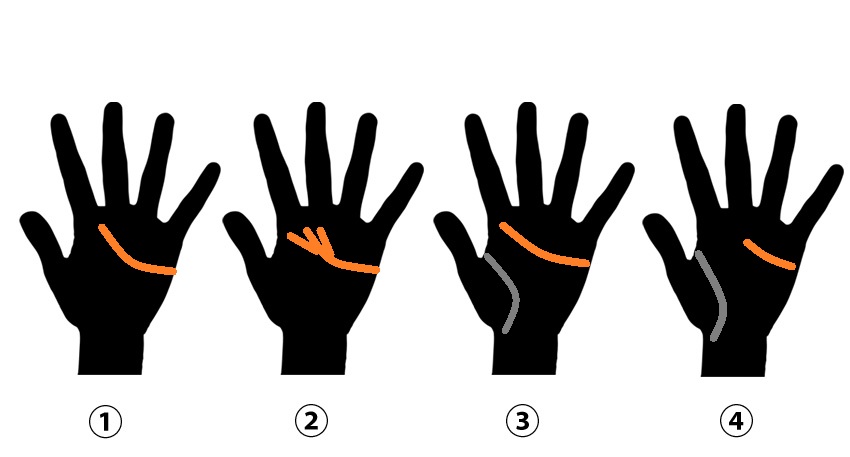 Gefühlslinie im japanischen Handlesen – Herz und Emotionen Darstellung der Gefühlslinie (Kanjōsen) im japanischen Handlesen, Symbol für Herz, Emotionen und Beziehungsfähigkeit