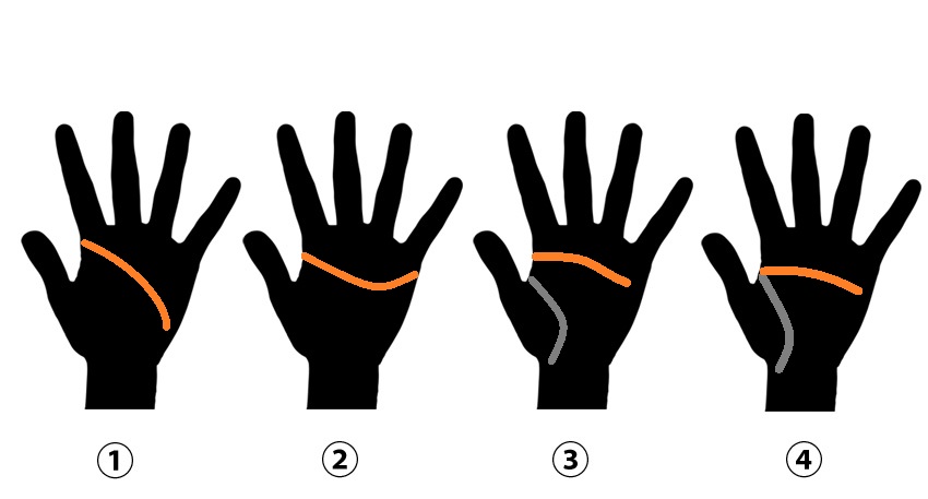 Kopflinie im japanischen Handlesen – Denken und Entscheidungsfähigkeit Darstellung der Kopflinie (Zunōsen) im japanischen Handlesen, Symbol für Denken, Konzentration und Entscheidungsstärke