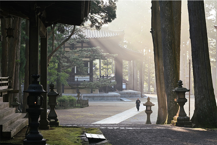 Mystische Morgenstimmung in der Tempelstadt Koyasan Lichtstrahlen fallen durch hohe Zedern auf einen buddhistischen Tempel in der Klosterstadt Koyasan in Japan