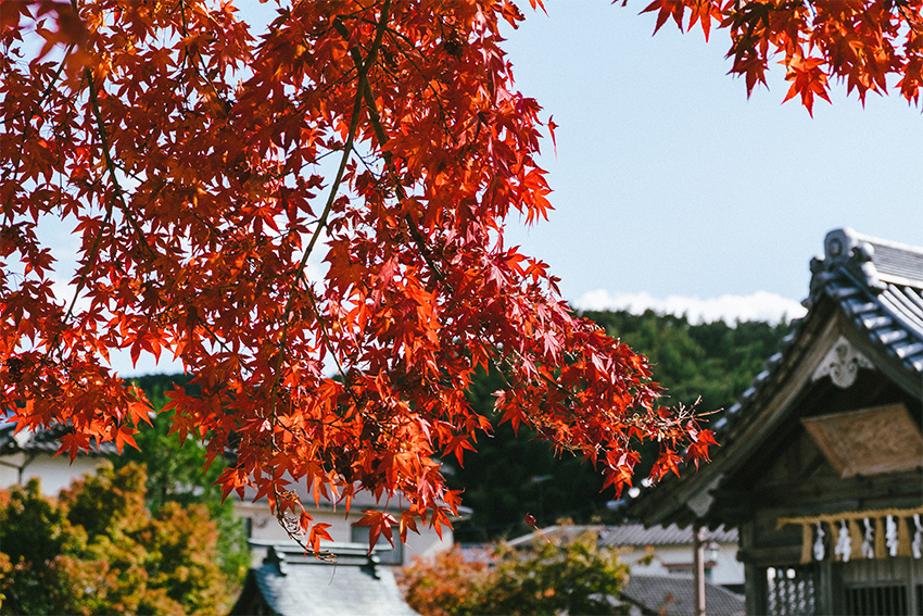 Japan Reisezeit im Herbst