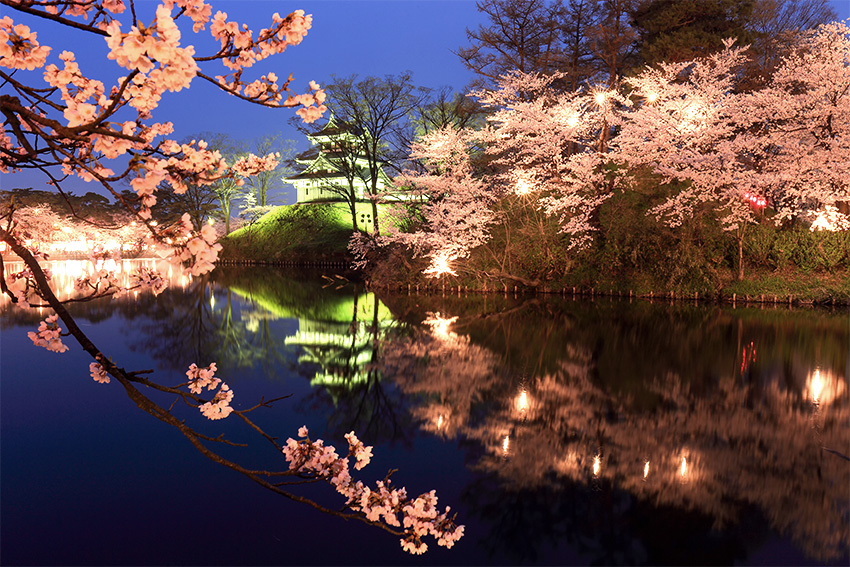 Beleuchtete Kirschblüten und dreistöckiger Turm des Echigo-Takada-Schlosses im Takada-Joshi-Park in Joetsu während des Sakura Festivals bei Nacht