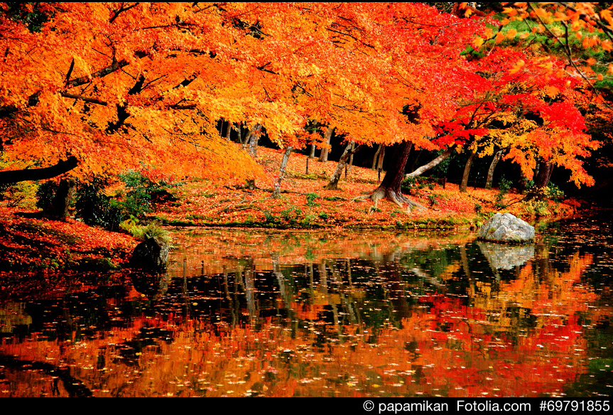 Japanische Herbstlandschaft