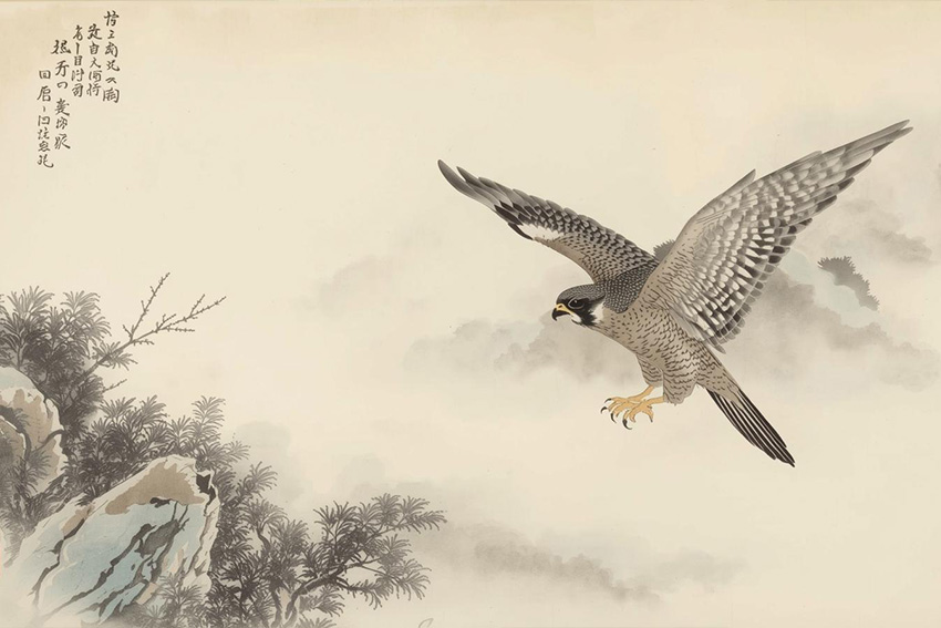 Der Falke im Flug – Symbol für Klarheit und Zielstrebigkeit in der japanischen Traumdeutung Stilisierte Darstellung eines Falken im Flug als Glückssymbol für Scharfsinn und Fokus in der japanischen Traumdeutung