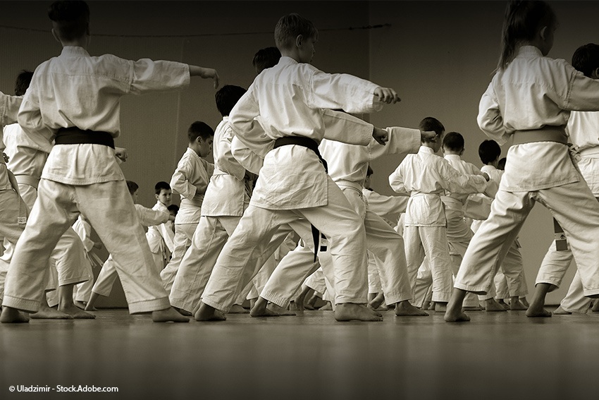 Karate - eine der beliebtesten japanischen Kampfsportarten