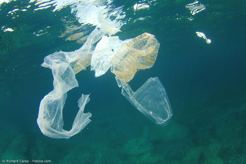 Plastikmüll ist ein großes weltweites Problem. Um die Umwelt zu schützen, muss der Verbrauch von Plastikverpackungen und -tüten unbedingt eingeschränkt werden.