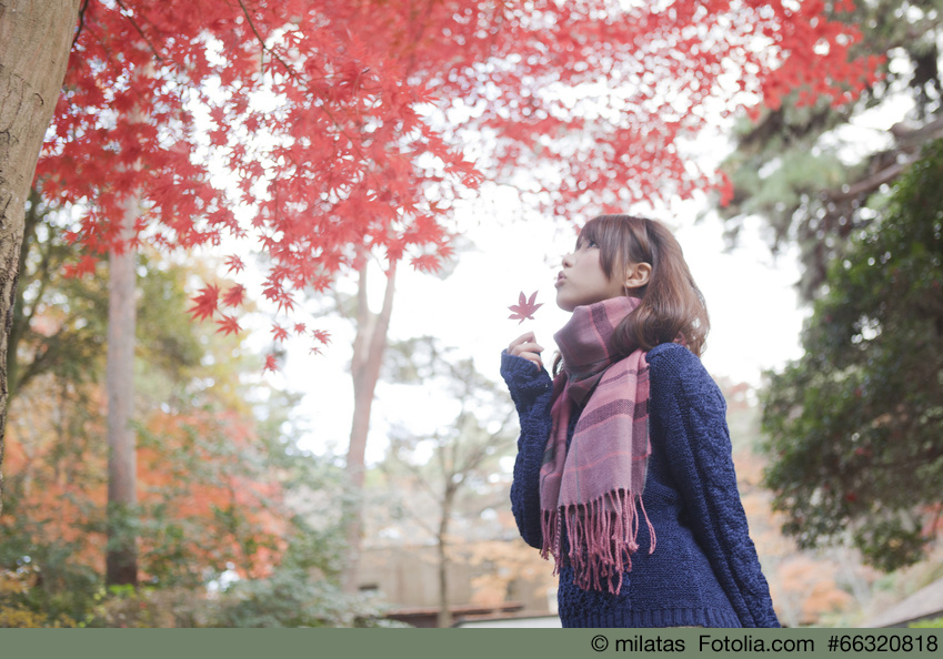 Momijigari, Herbstspaziergang in Japan