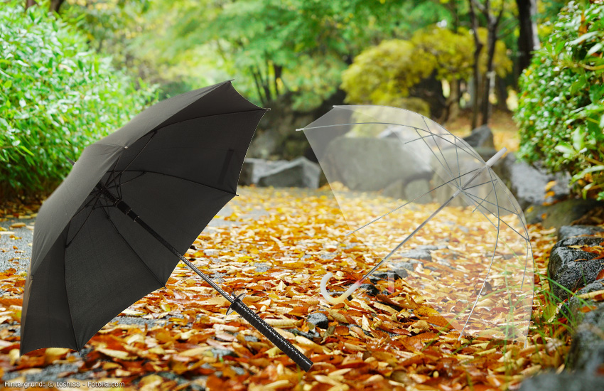 Samuraischirm oder transparenter Schirm im Herbst