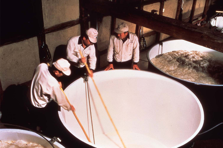 Traditionelle Sake-Herstellung: Brauer überwachen und rühren die Moromi-Maische während der Hauptfermentation in einer japanischen Brauerei