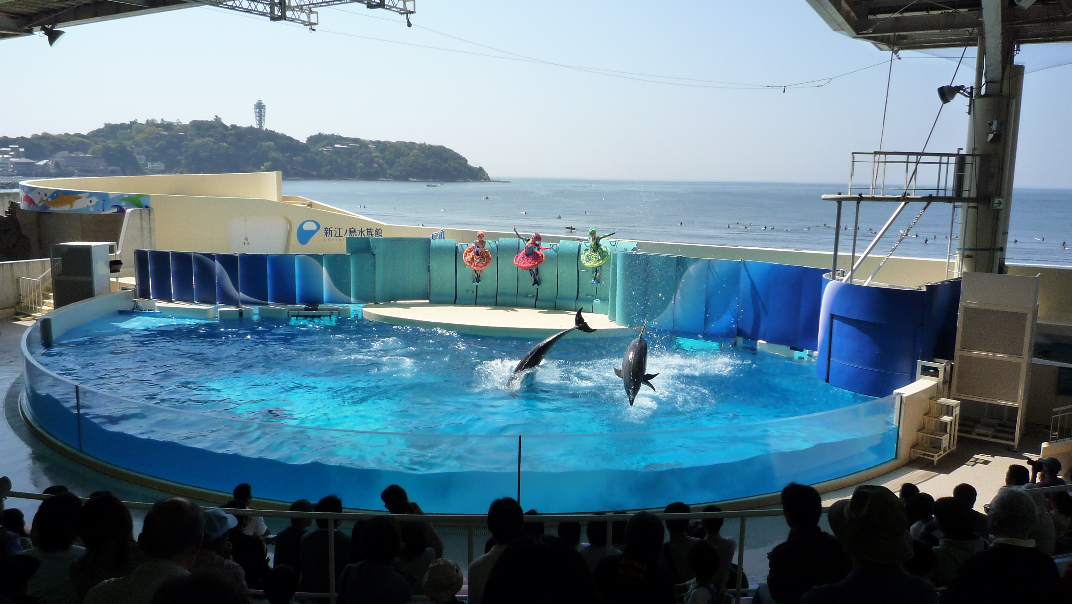 Enoshima Aquarium: Delfinshow mit Blick auf die Sagami-Bucht Delfinshow im Enoshima Aquarium in Fujisawa, Zuschauertribüne und Außenbecken mit Meerblick auf die Sagami-Bucht