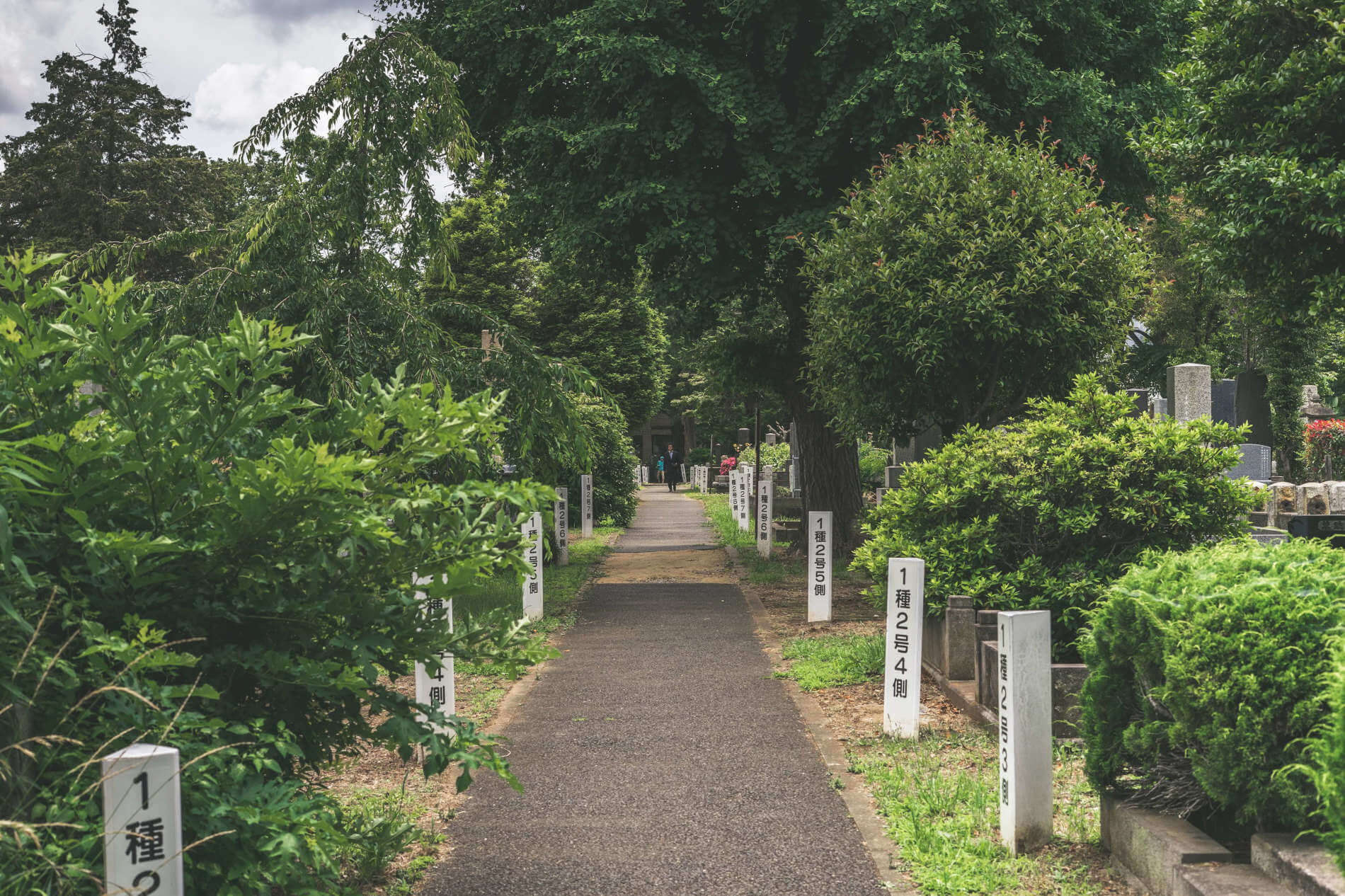 Heiliger Weg eines Shinto-Schreins