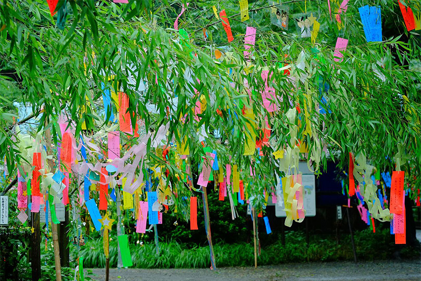 Tanabata Bambusbaum Wunschzettel Tanzaku