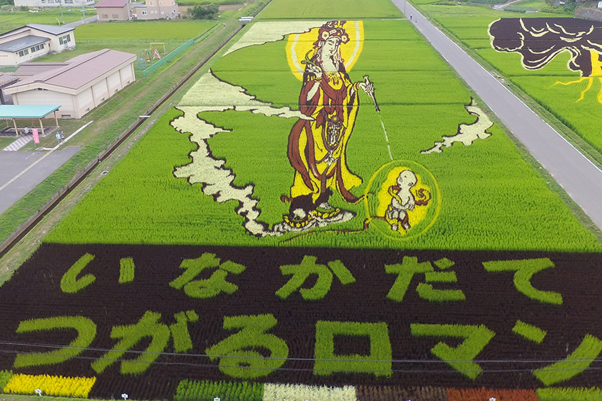 Skurrile und seltsame Dinge in Japan: Reisfeldkunstwerke