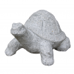 Turtle Granite