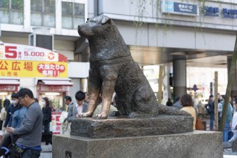 Fürsorge für Tiere verstorbener japanischer Tierbesitzer