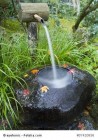 Japanische Wasserspiele verbessern die Wasserqualität im Gartenteich