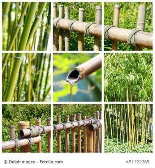 Kann mein japanischer Bambuszaun draußen überwintern?