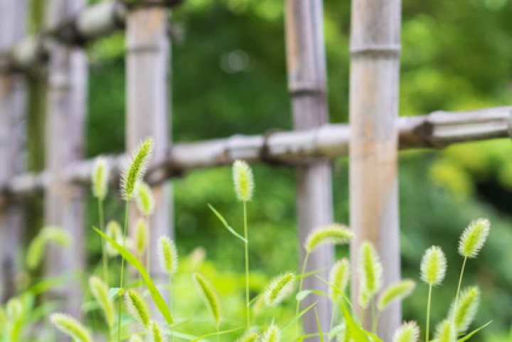 Japanische Gärten: Bambuszaun selber bauen