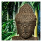 Buddha Bust, Lavaguß