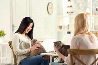 Cafés in Japan: Katzen, Theater und Modelleisenbahnen