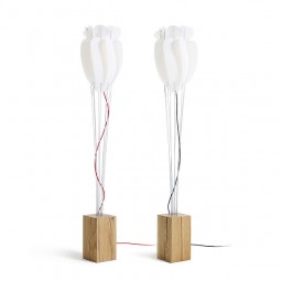 Domus Floor Lamp - Tulip