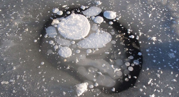 Nordjapan: Fotografen erfreuen sich an gefrorenen Eisblasen im Lake Nukabira 