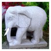 Elephant Granite