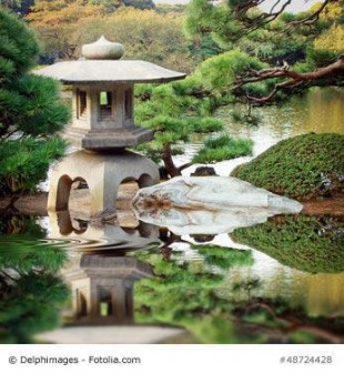 Japanische Wasserspiele verbessern die Wasserqualität im Gartenteich