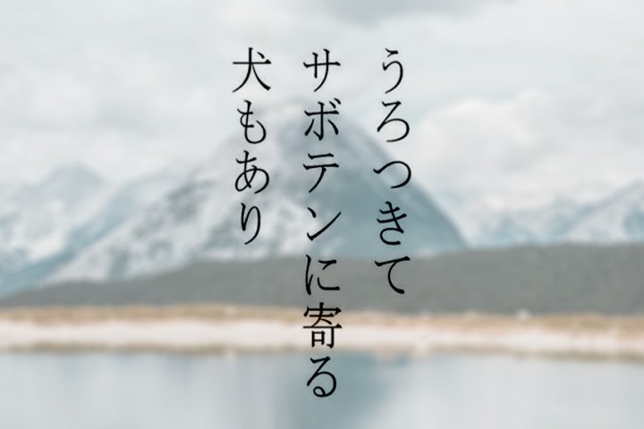 Haiku – klassische japanische Lyrik in drei Zeilen