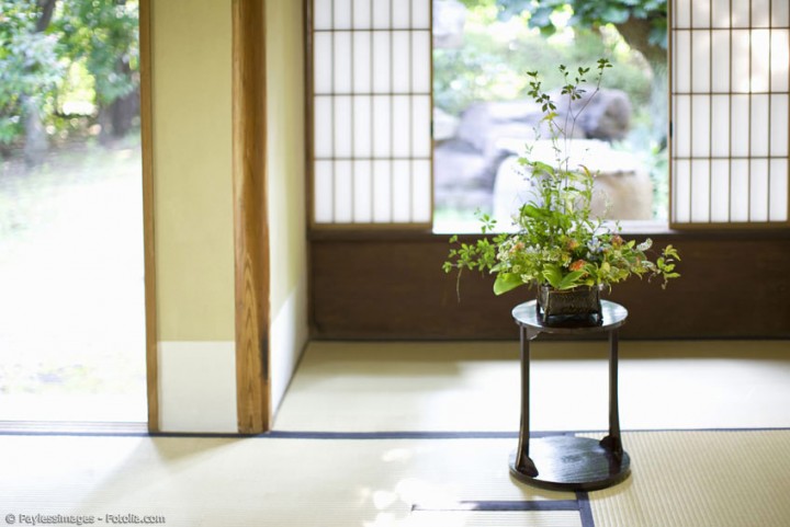 Ikebana: Die traditionell japanische Kunst des Blumensteckens
