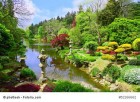 Japanischer Garten, Flächen optimal nutzen und japanisch herrichten