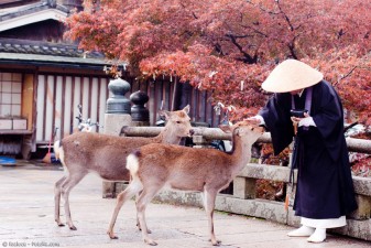 Japanische Meditation im Wandel der Zeiten
