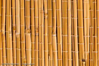 Japanischer Paravent oder Bambuszaun – wo liegen die Unterschiede?