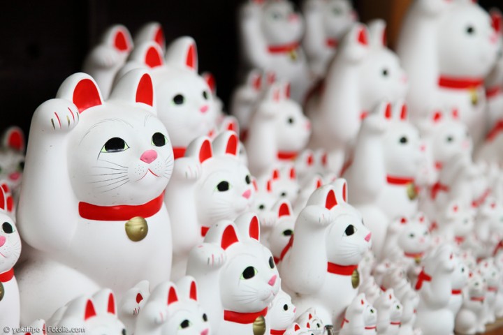 Maneki Neko Tempel – die Legende der winkenden Katze