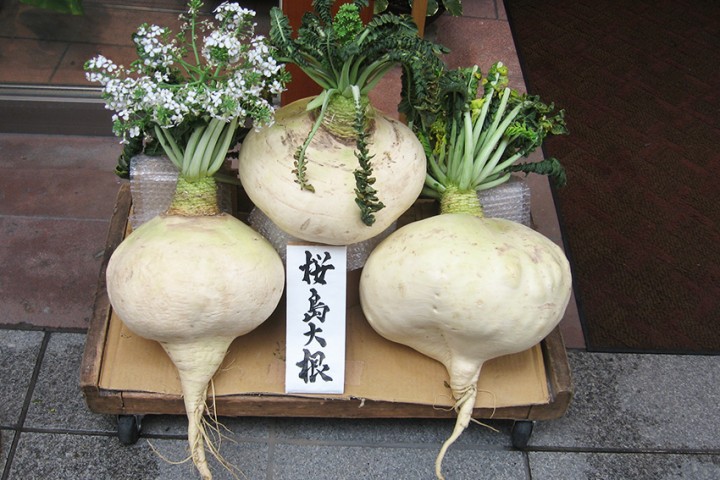 Was ist Daikon? – Der japanische Rettich