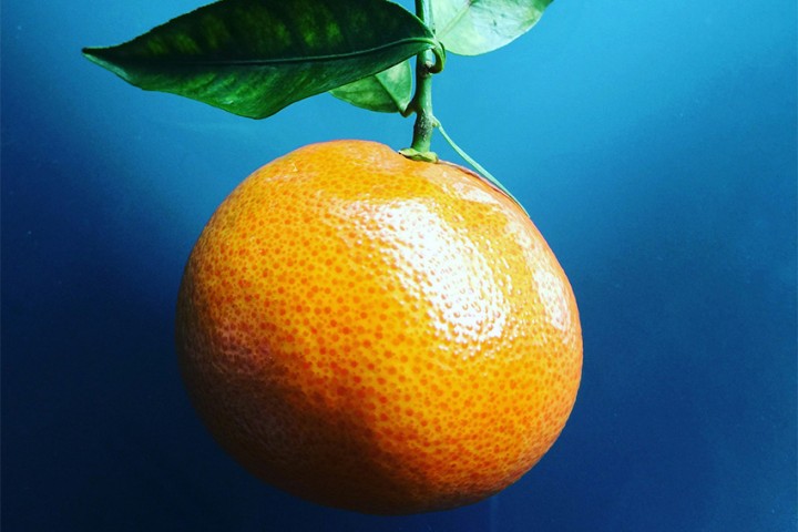 Satsuma-Mandarine: Die japanische Zitrusfrucht