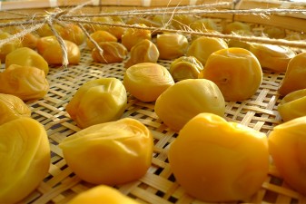 Umeboshi die Japanische Salzpflaume – Superfood