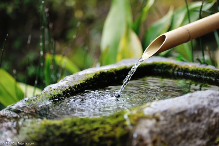 Wie Wasserspiele Garten und Heim in eine japanische Oase verwandeln