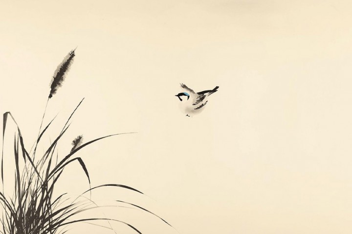 Yūgen – warum Weglassen, Leere und Andeutung in Japan Schönheit entstehen lassen