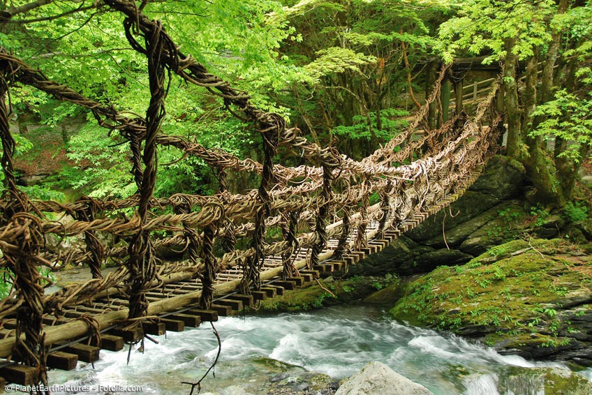 Alte Hängebrücke über einem Fluss im Grünen