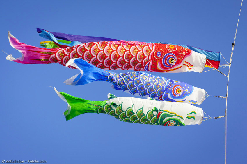 Karpfen gelten in Japan als Glücksbringer und finden Verwendung in vielen Bereichen: Von den bekannten Windkoi über Tattoo-Motive, Drucke auf Kimono, Noren und T-Shirts oder als Gebäck. Der Vielfalt sind kaum Grenzen gesetzt.