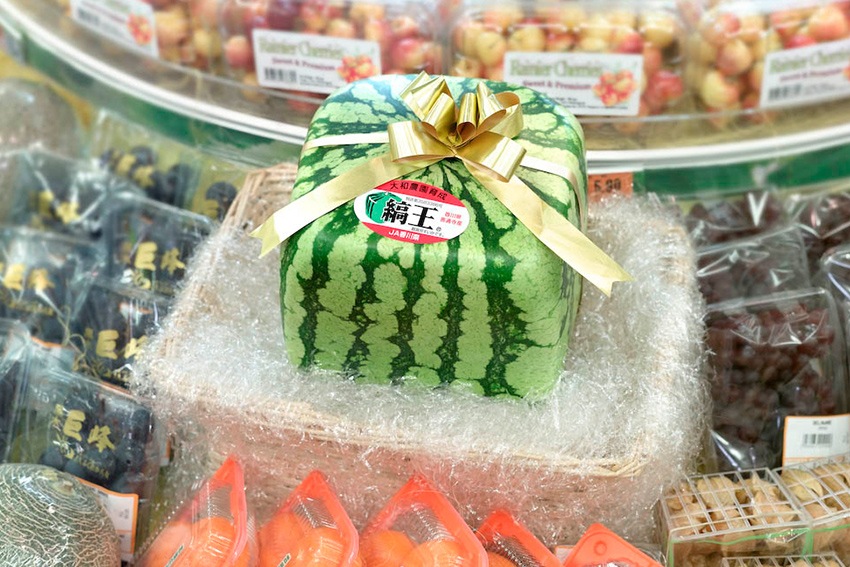 Quadratische Melonen in Japan
