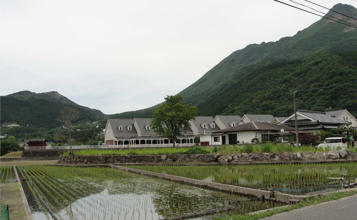 Die Reisfelder von Yufuin